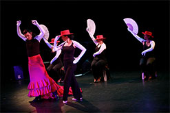 רוקדת גבר רוקד אישה